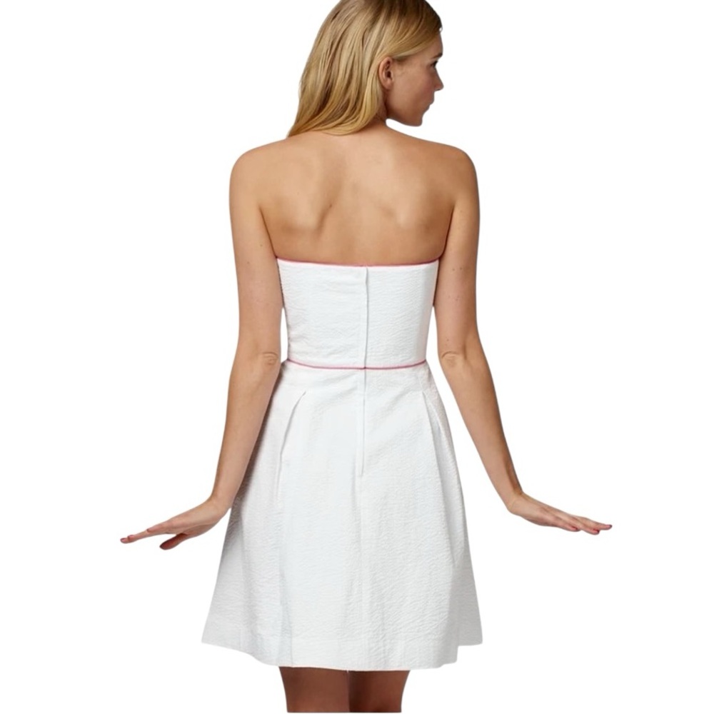 Lilly Pulitzer Blossom Spring Fling Placed Embroidery Seersucker Dress 6 - Picture 4 of 14